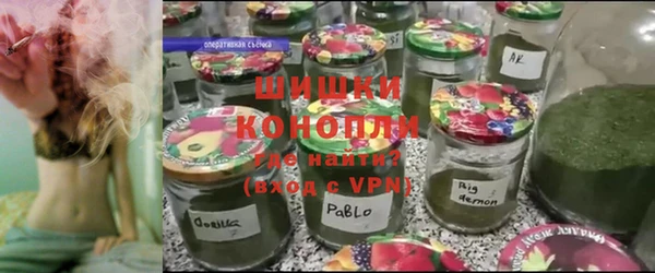МДПВ Осташков